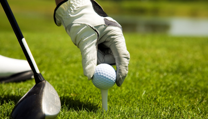 Online Proshop mit großer Auswahl an Golfartikeln wie Taschen, Schuhe, Handschuhe, Schläger und mehr ... pro-shop.lake-balls.de